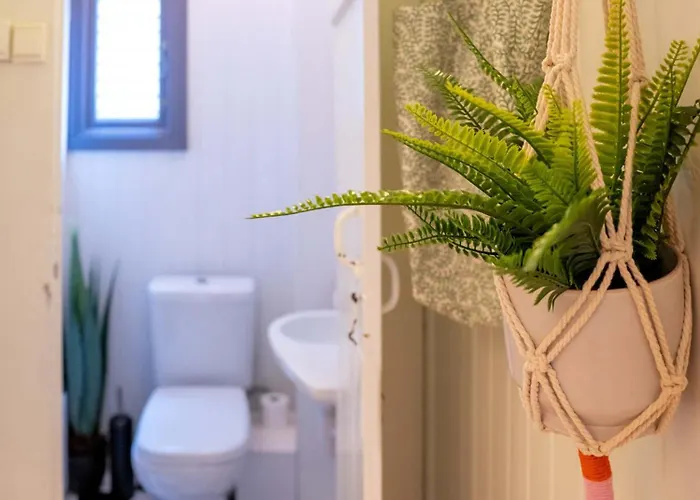 Apartment Authentic Bergen